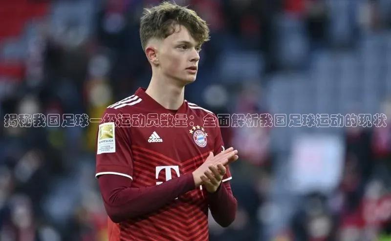 欧陆娱乐怎么注册账号普信公司揭秘我国足球一级运动员数量：全面解析我国足球运动的现状