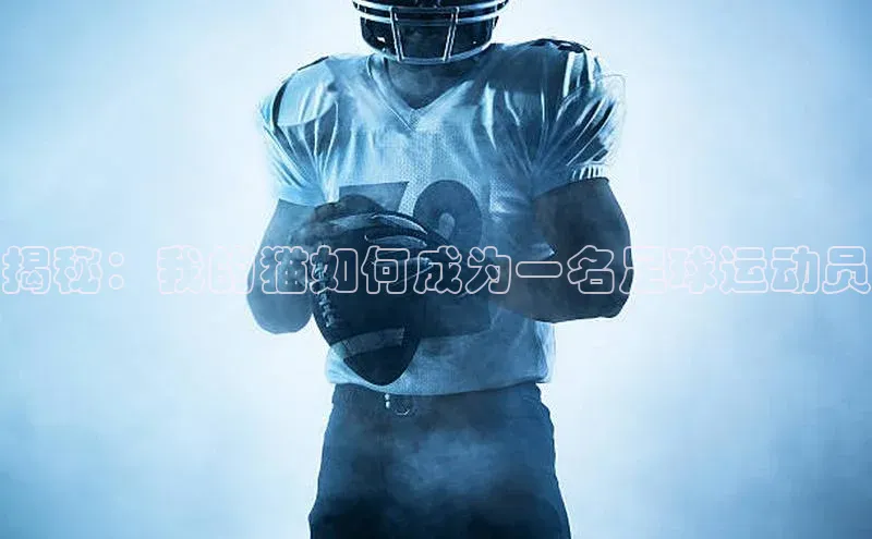 欧陆娱乐平台登录app百度众测揭秘：我的猫如何成为一名足球运动员