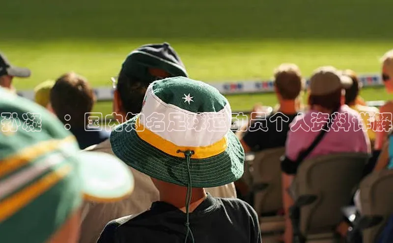 欧陆娱乐登录入口注册云创智行孙凝喆：国内知名足球运动员个人资料详解