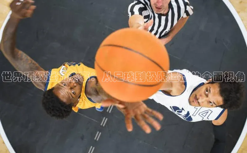 欧陆在线登录颐驰 06世界顶级运动赛事：从足球到极限运动的全面视角