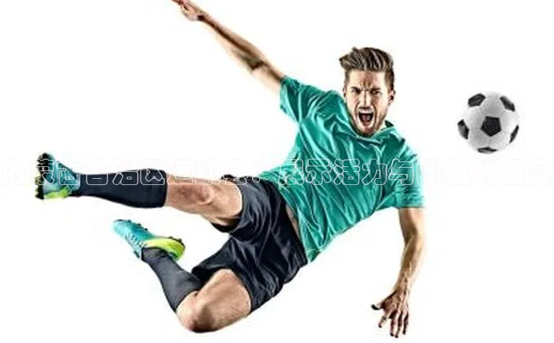 内蒙古自治区运动会：展示活力与团结的盛宴