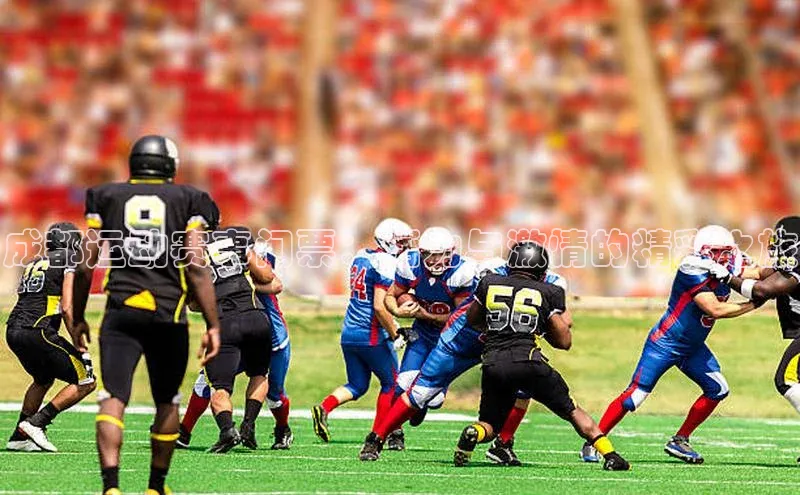 成都运动赛事门票：活力与激情的精彩之旅