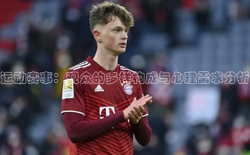 运动赛事：观众的多样构成与心理需求分析