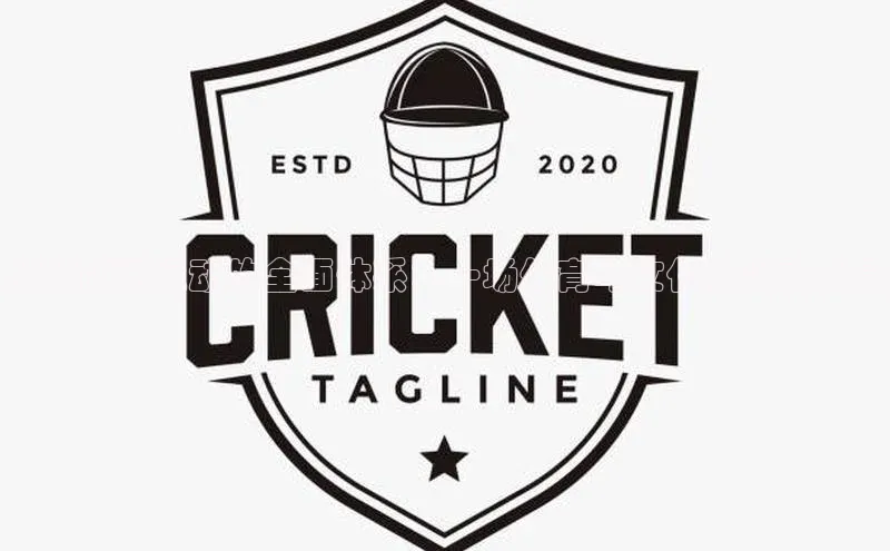 构建南狮运动的全面体系：一场体育与文化的交融盛宴