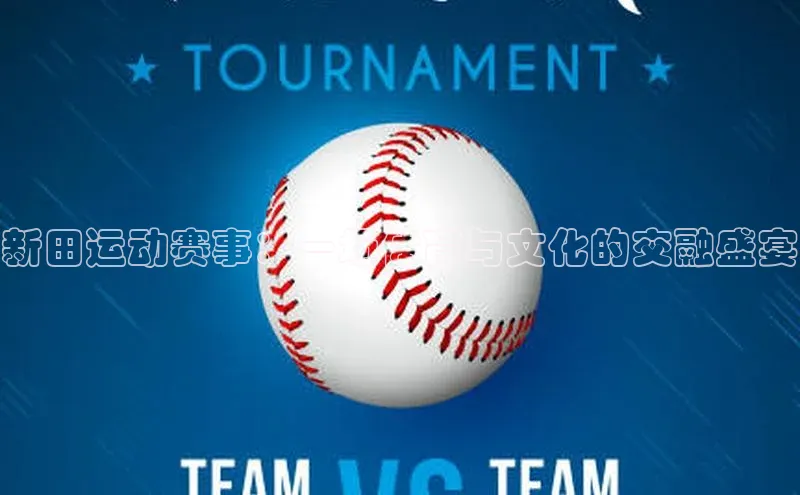 新田运动赛事：一场体育与文化的交融盛宴
