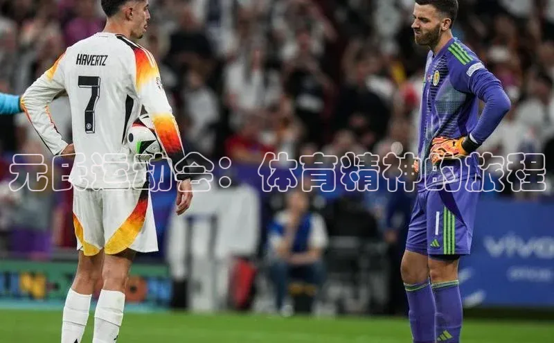 元氏运动会：体育精神的旅程