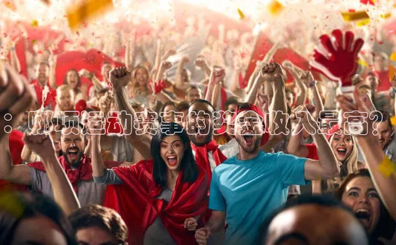 ：哪项运动赛事的奖金收入最高？