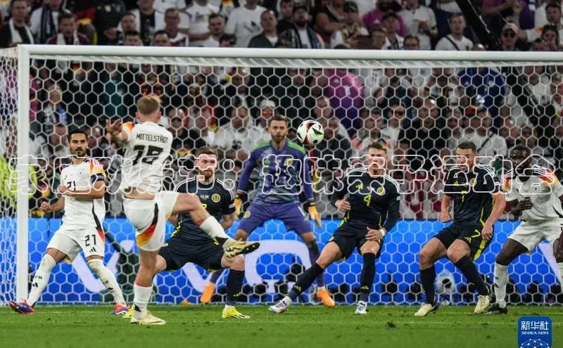 家庭欢乐节：趣味亲子运动会