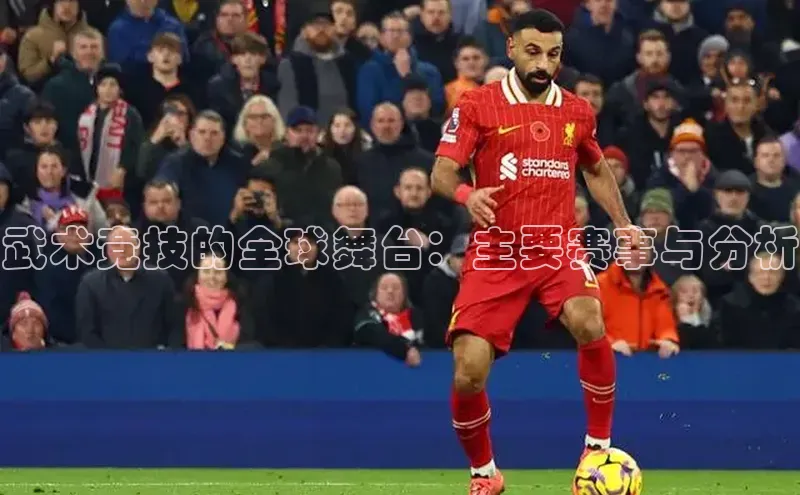 武术竞技的全球舞台：主要赛事与分析
