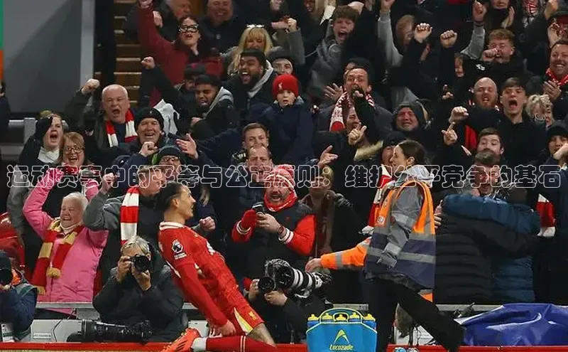 运动赛事中的平等与公正原则：维护公平竞争的基石