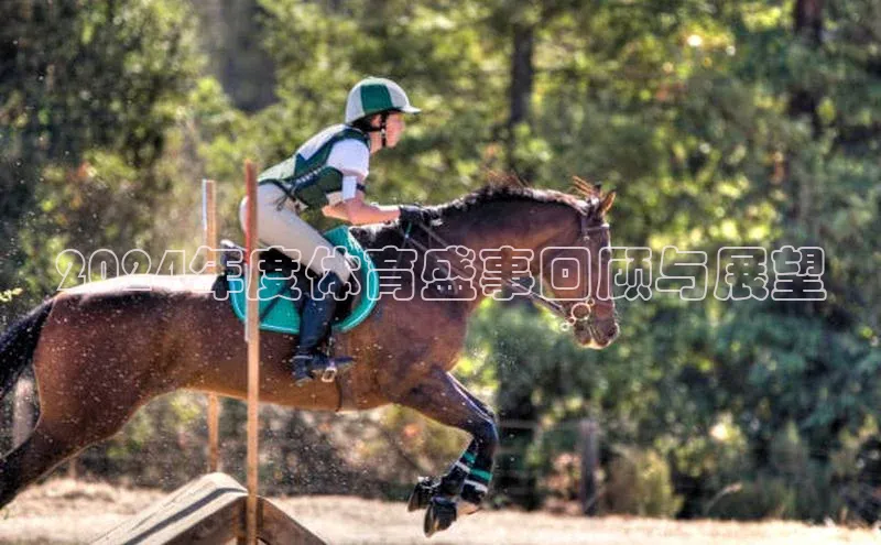 2024年度体育盛事回顾与展望